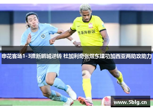 申花客场1-3遭新鹏城逆转 杜加利奇张煜东建功加西亚两助攻助力